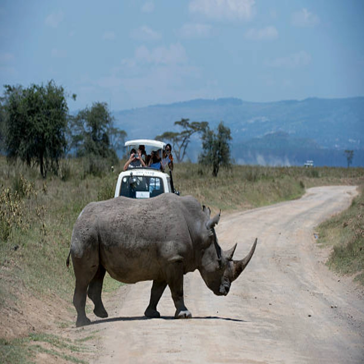 7-Day October Kenya Wildlife Value Safari for Australians