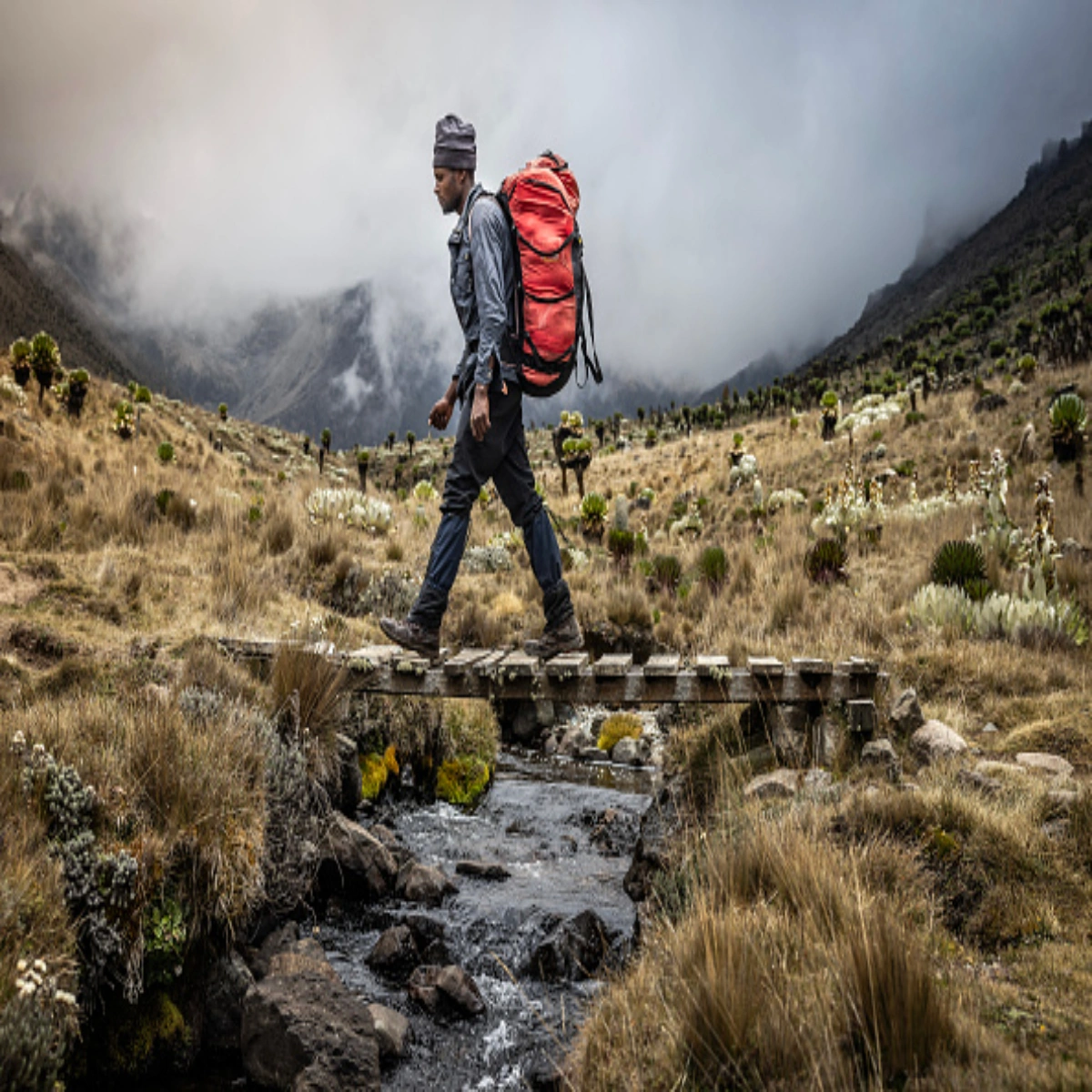 5-Day January Mount Kenya Sirimon Trek for Australians