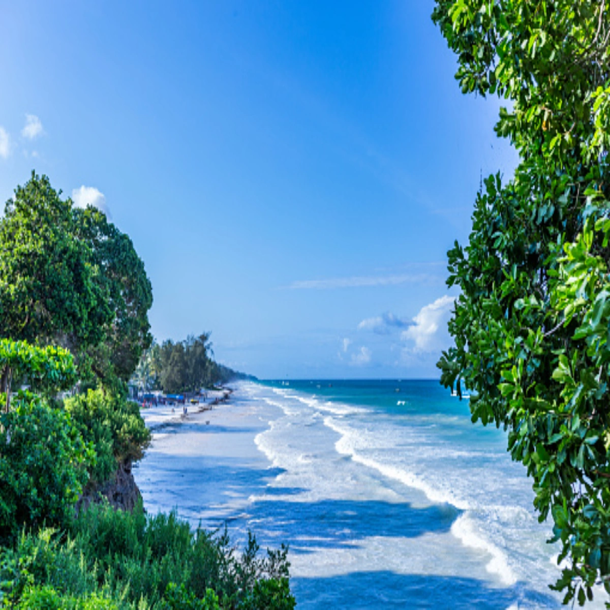 9-Day November Masai Mara and Diani Beach Escape