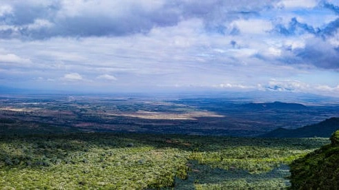 Africa Safari: Evolutionary Differences vs Australian Wildlife
